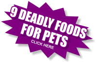 9 DEADLY FOODS FOR PETS CLICK HERE
