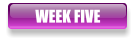 WEEK FIVE