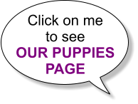 Click on me to see OUR PUPPIES PAGE