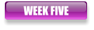 WEEK FIVE