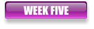 WEEK FIVE