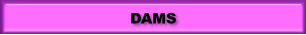 DAMS