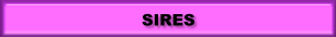 SIRES