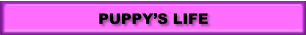 PUPPY’S LIFE