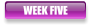 WEEK FIVE