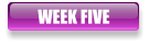 WEEK FIVE