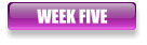 WEEK FIVE